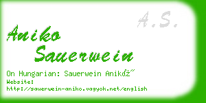 aniko sauerwein business card